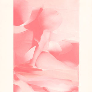 Print Pink Absorption