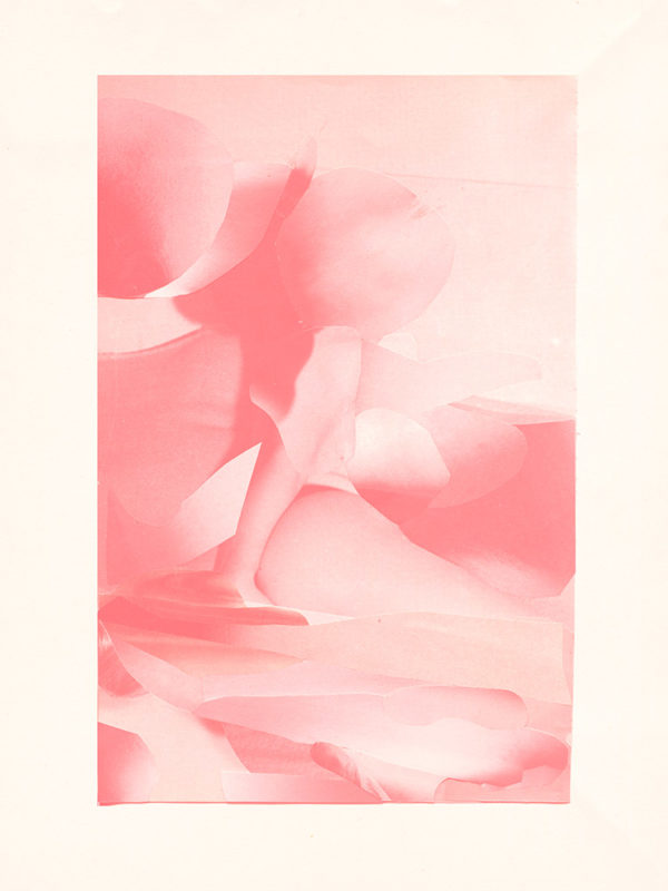 Print Pink Absorption